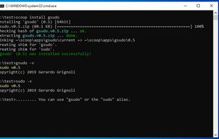 gsudo screenshot 1