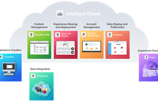 Intuiface screenshot 1