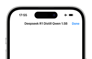 Offline LLM screenshot 3