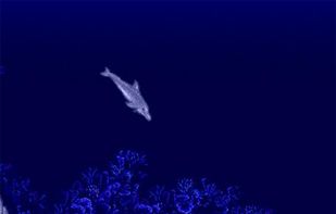 Ecco the Dolphin screenshot 1