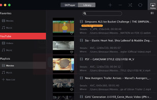 5KPlayer screenshot 1