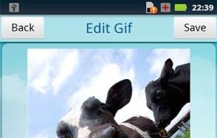 GIF Camera screenshot 2