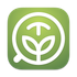 Machato icon