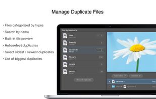 Duplicate File Remover PRO screenshot 1