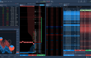 Panels supporting level 2 data