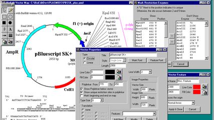 BioEdit: Biological sequence alignment editor | AlternativeTo