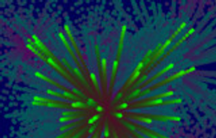 HaxeFlixel screenshot 2