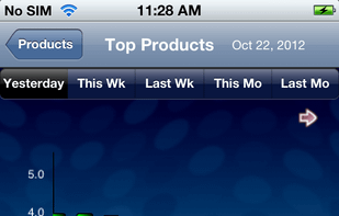 IBM Digital Analytics screenshot 2