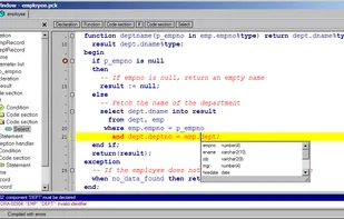 Powerful PL/SQL Editor