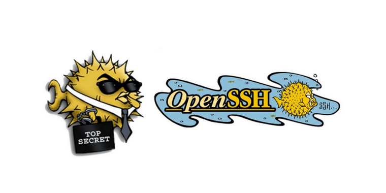 OpenSSH 9.9 released with DSA disabled and hybrid ML-KEM post-quantum key exchange