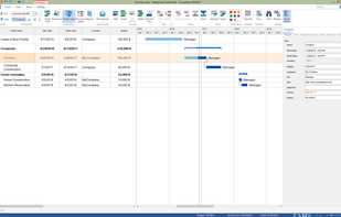 Gantt Chart view