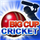 Big Cup Cricket icon