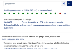 Instant audit of endpoints