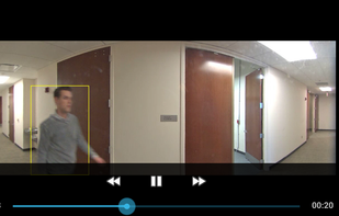 Sighthound Video screenshot 1