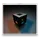 ShaderWorkshop icon
