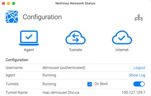 Details about your client connection and service control.