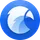 Eagle  icon
