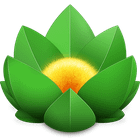 Versions icon