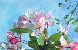 Artomaton screenshot 3