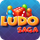 Ludo Saga – Best Ludo Game 2018 icon