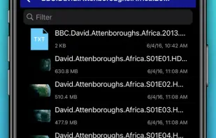 File Explorer & Player screenshot 1