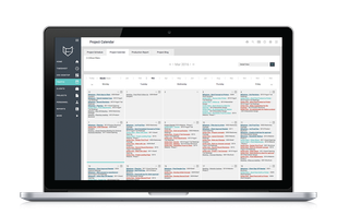 Schedule project milestones, meetings and actions in an easy to manage calendar view.