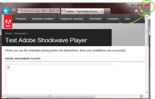 Adobe Shockwave Player screenshot 1