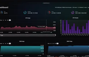 Dashboard Real-time Metrics
The dashboard shows real-time metrics of your system. Metrics include CPU usage, RAM usage, Swap usage, Disk usage, and Network usage.