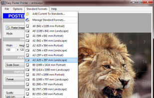 Easy Poster Printer screenshot 1