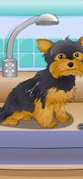 Poor Little Dog: Yorkie screenshot 2