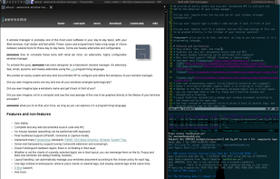 awesome screenshot 1
