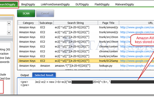 SearchDiggity screenshot 1