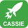 Cassie icon