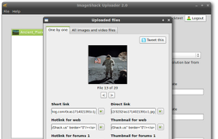 Short link and direct Link to uploaded files