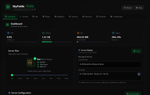 McServerHost screenshot 3