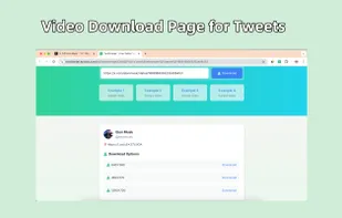 TwitDloader screenshot 2