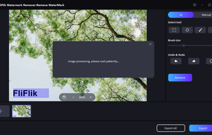 FliFlik Watermark Remover screenshot 1
