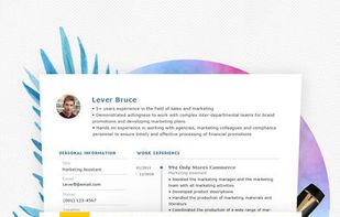 Zalent Resume screenshot 1