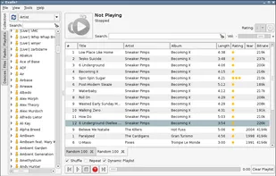 The New Rating System