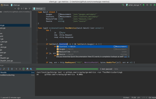 GoLand screenshot 1