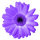 Artweaver icon