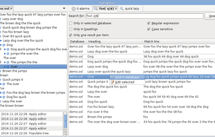 The search interface.