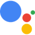 Google Assistant SDK icon