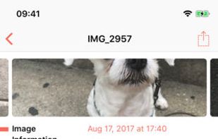 Metapho screenshot 1
