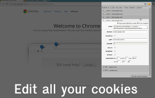 EditThisCookie screenshot 1
