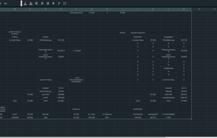 spreadsheet full screen view