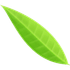 Fontea icon