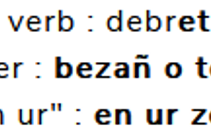 Verb page "debriñ", with some information and a copy button.