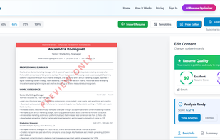 Resumora screenshot 2