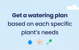 Greg - Plant Identifier & Care screenshot 3